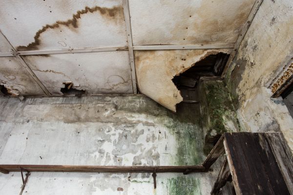 Cost of Water Damage Service in Conroe