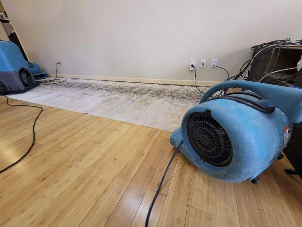 Cost of Water Damage Mitigation in Conroe
