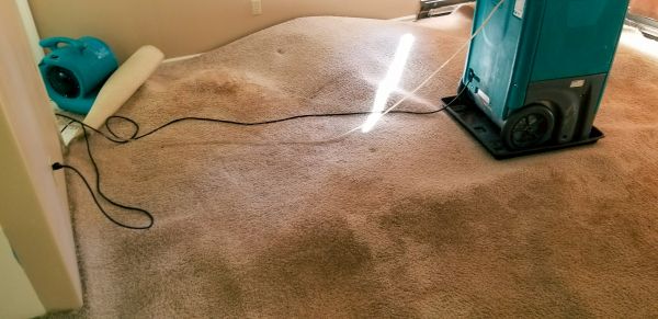 Flood Damage Cleanup in Conroe