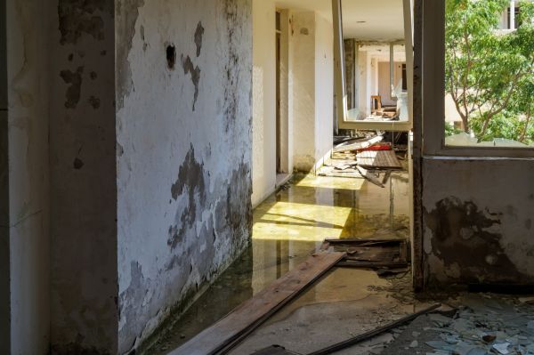 Cost of Water Removal Service in Conroe
