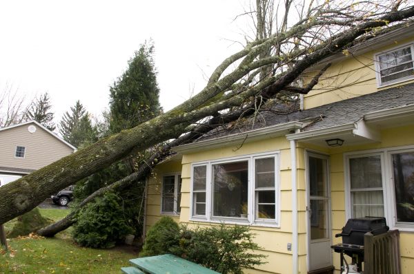 Hurricane Damage Repair in Conroe